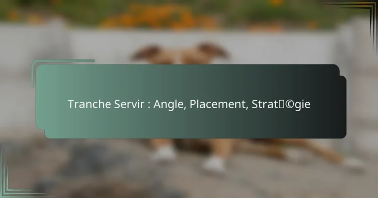 Tranche Servir : Angle, Placement, Stratégie